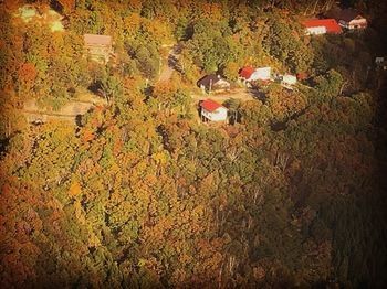Kamoshika Views Hotel Hakuba Ngoại thất bức ảnh